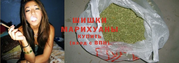 Альфа ПВП Осинники