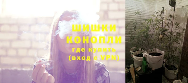 apvp Пестово