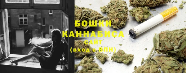 apvp Пестово
