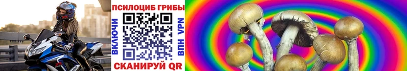 как найти закладки  Фрязино  Псилоцибиновые грибы мицелий 