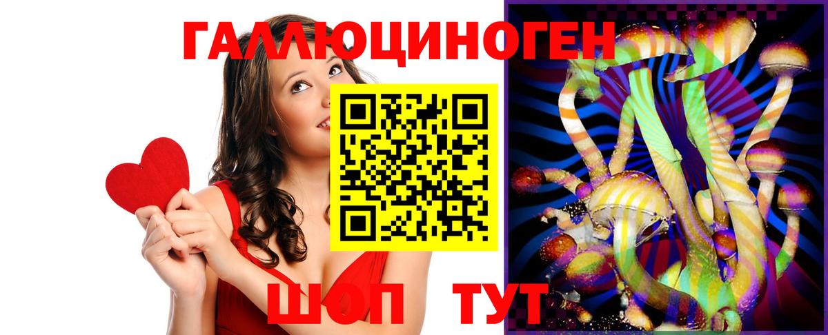 Галлюциногенные грибы Psilocybine cubensis Фрязино