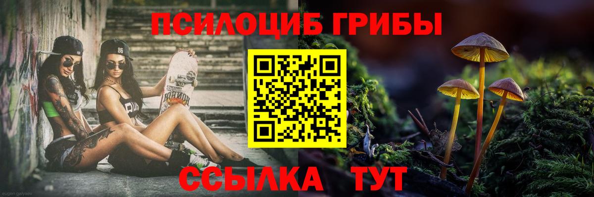 Фрязино  Галлюциногенные грибы мухоморы  Псилоцибиновые грибы прущие грибы  Вход с VPN 